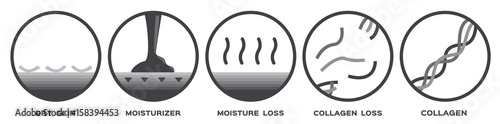 skin icon and vector - collagen dry moisturizer moisture