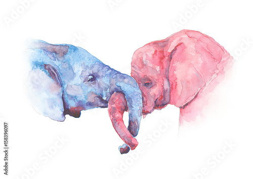 Photography Blue and pink elephants