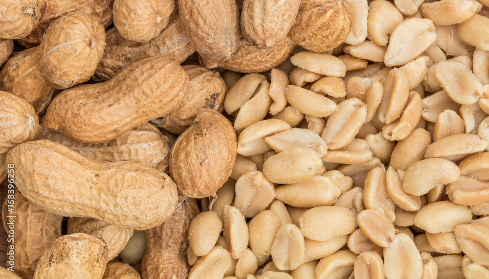 Obraz premium Shell on peanuts