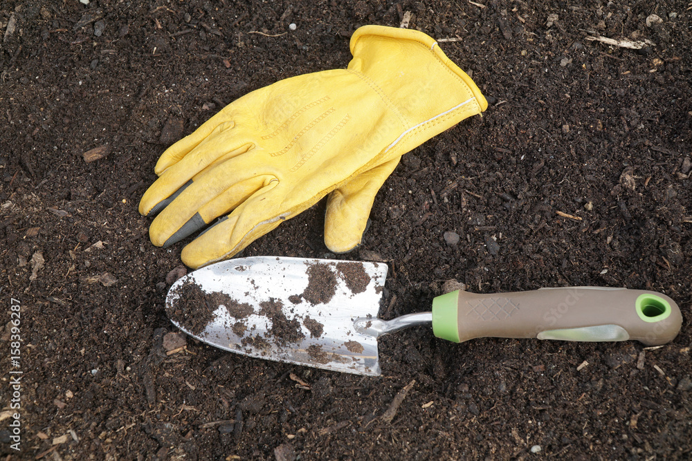 Obraz premium garden shovel and glove in the flower bed