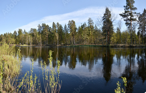 Panorama of the spring river.