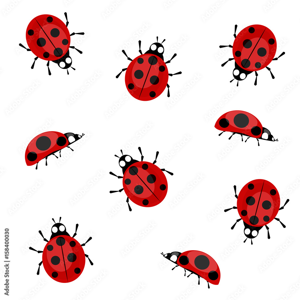 Fototapeta premium Ladybugs in different positions on a white background