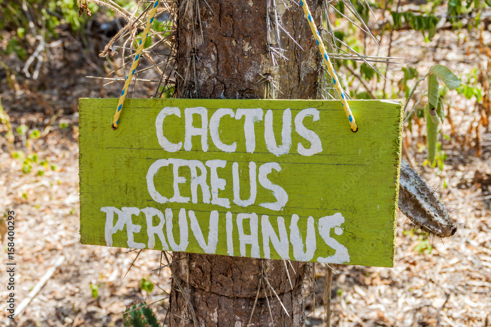 Description sign in a dry forest of Machalilla National Park, Ecuador