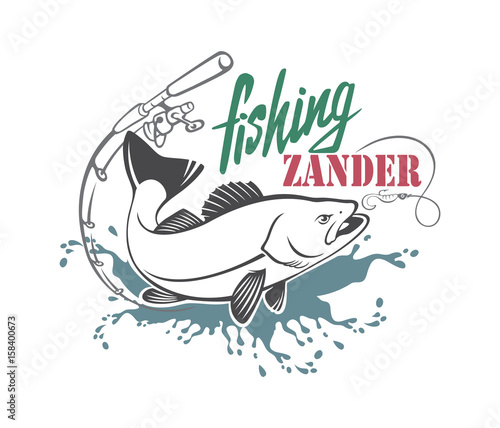 zander fishing