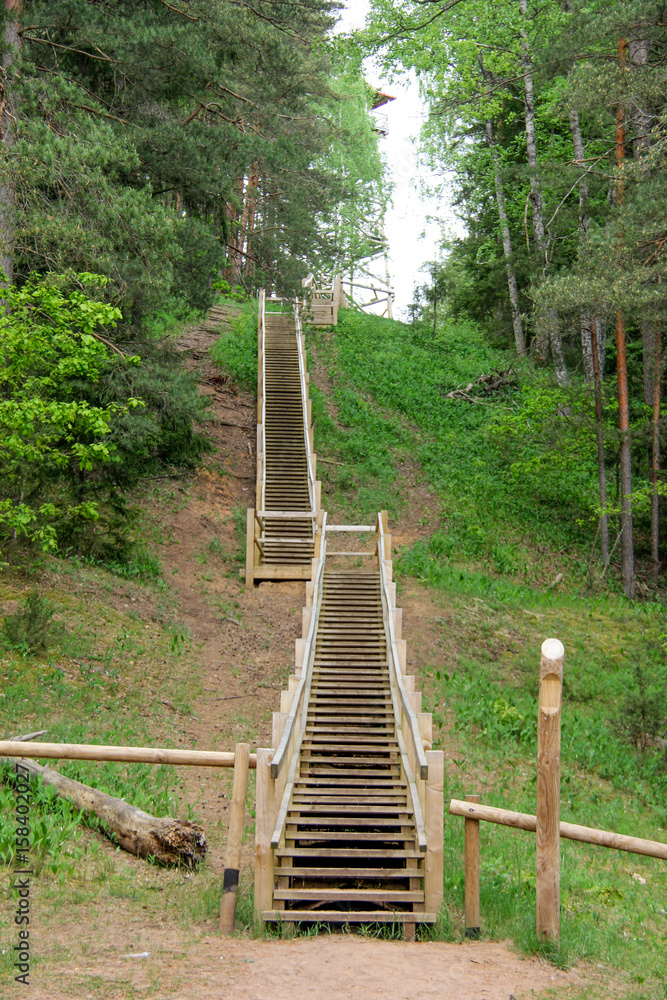 Fototapeta premium wooden stairs in the forest