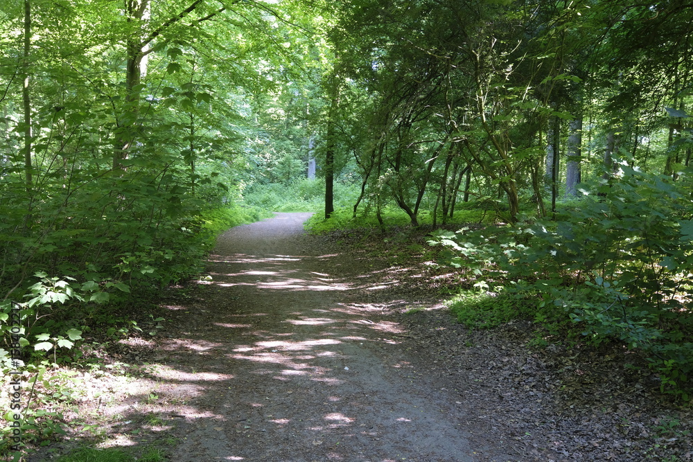 Fototapeta premium Pellens-Park in Bremen im Frühling
