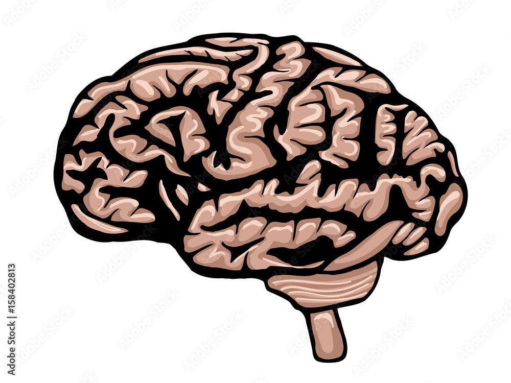 Cartoon colored brain Cartoon colored brain