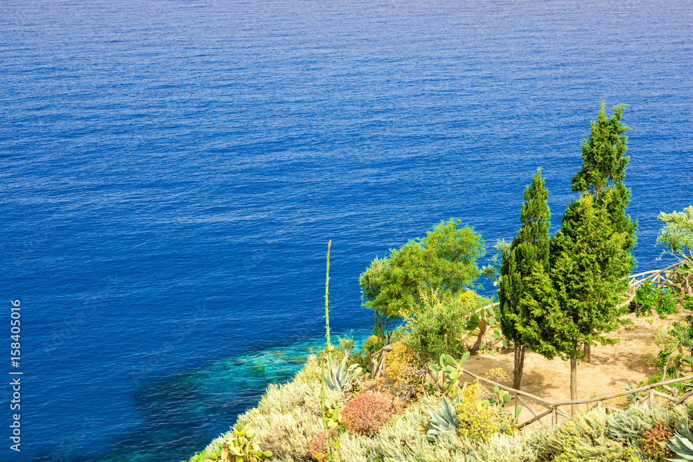 beautiful sea view with trees on the rocks in Tropea, Italy