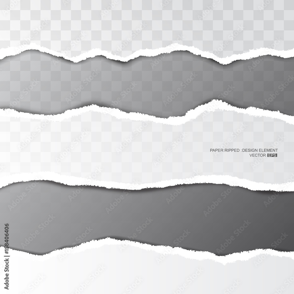 Realistic ripped paper torn stripe on transparent background, vector illustration