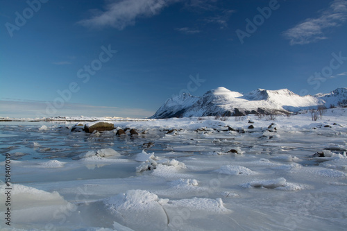 Wallpaper Mural Eisfläche bei Leknes, Lofoten, Norwegen Torontodigital.ca