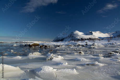 Wallpaper Mural Eisfläche bei Leknes, Lofoten, Norwegen Torontodigital.ca