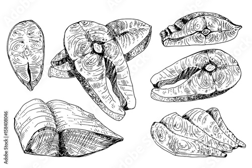 Set of salmon meat pieces isolated on white background. Design element for menu, label, emblem, sign, poster. Vector illustration.