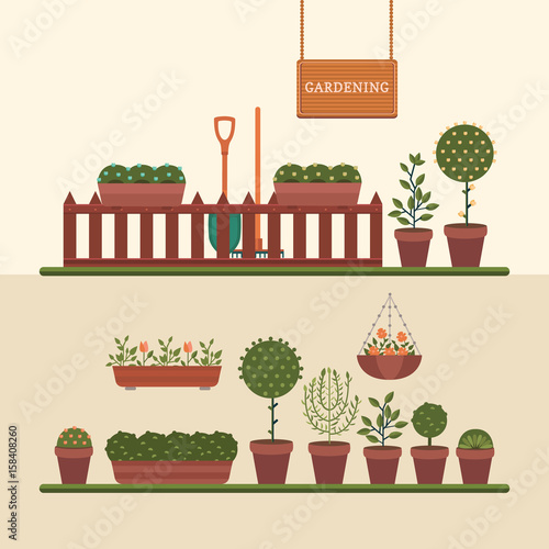 Gardening and growing plants.
