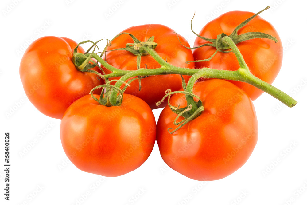 Tomatoes bunch isolated on white background close up. Tomatoes bunch isolated on white background close up.