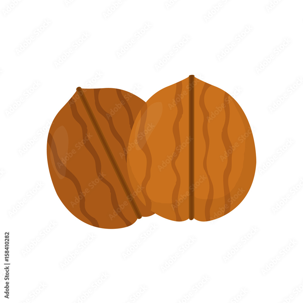 Nuts. Walnut. Vector flat modern style illustration icon design. Isolated on white background. Nuts. Walnut. Vector flat modern style illustration icon design. Isolated on white background.