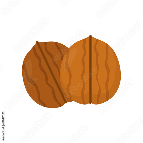 Nuts. Walnut. Vector flat modern style illustration icon design. Isolated on white background.