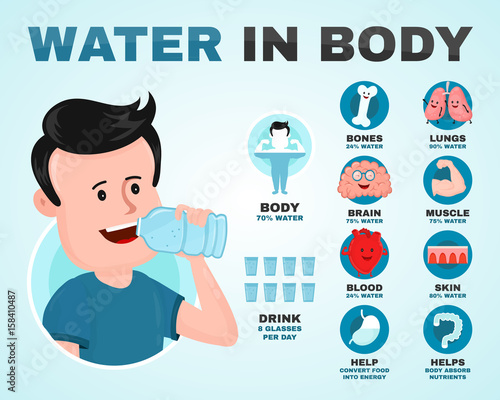 Water in body infographic. Young man drink water. Vector flat modern style illustration character icon design. Isolated on white background.  Healthy care, body balance, anatomy concept