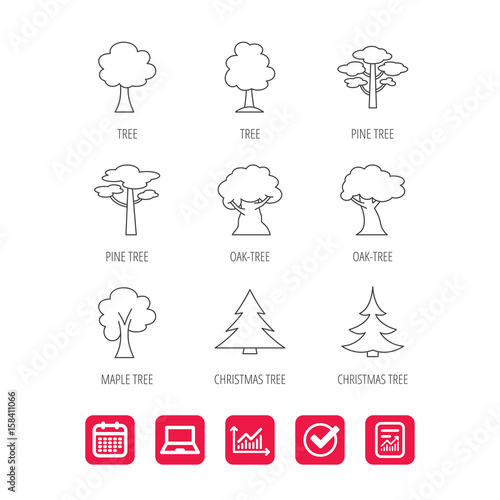 Pine tree, maple and oak icons. Christmas trees linear signs. Forest trees flat line icons. Report document, Graph chart and Calendar signs. Laptop and Check web icons. Vector