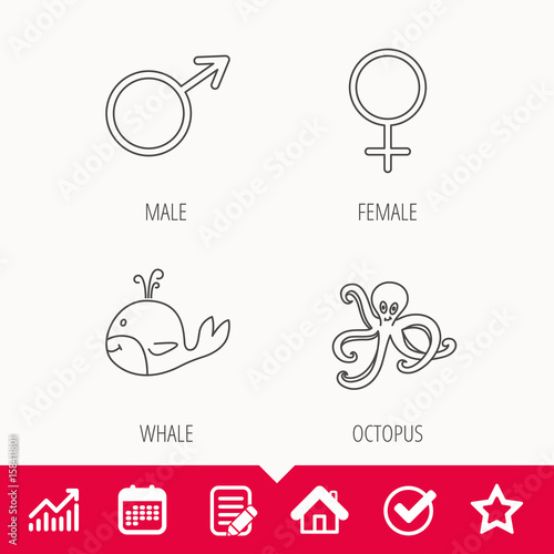 Male  female and octopus icons. Whale linear sign. Edit document  Calendar and Graph chart signs. Star  Check and House web icons. Vector