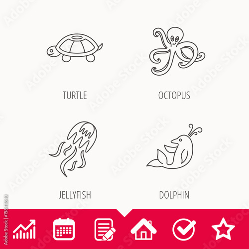 Octopus  turtle and dolphin icons. Jellyfish linear sign. Edit document  Calendar and Graph chart signs. Star  Check and House web icons. Vector
