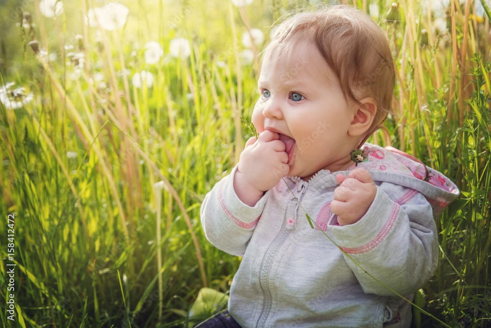 Baby girl sitting in the grass on a background of white dandelions. Baby girl sitting in the grass on a background of white dandelions.