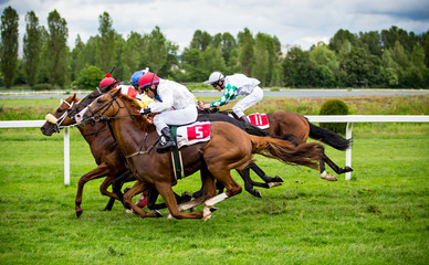 Race horses with jockeys on the home straight