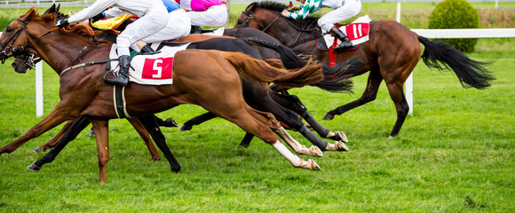 Race horses with jockeys on the home straight