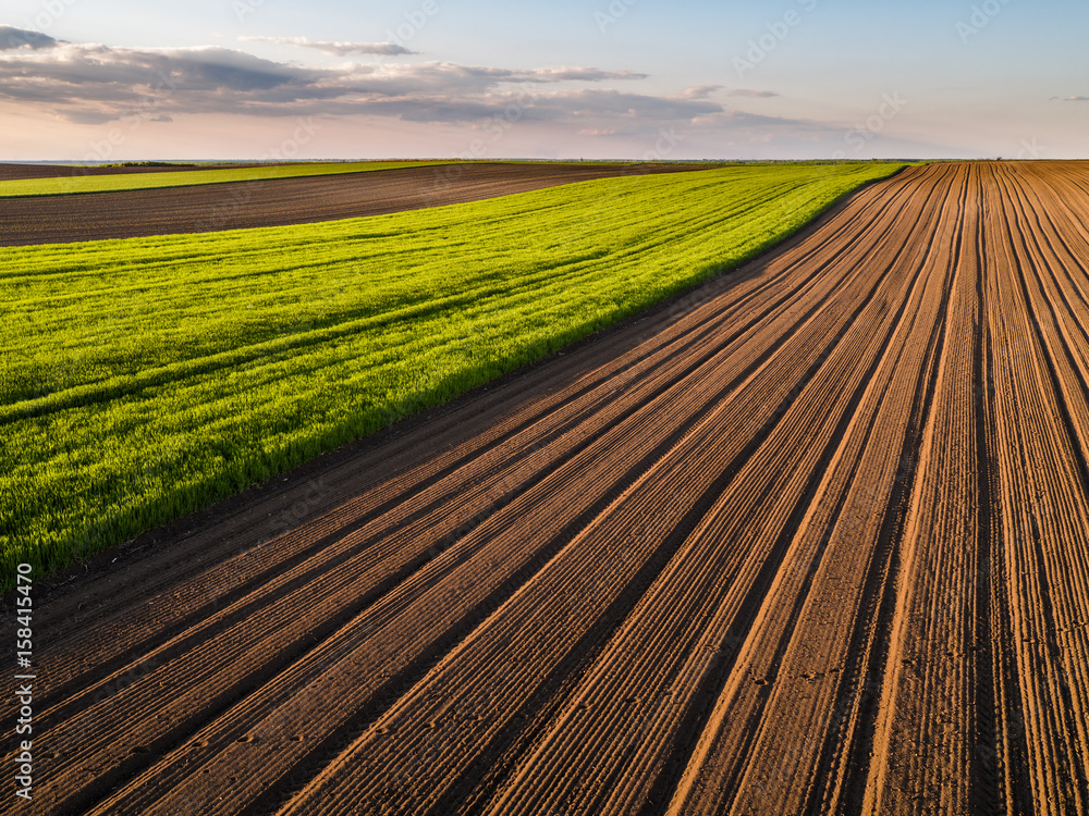 Agricultural landscape, arable crop field. Arable land is the land under temporary agricultural crops capable of being ploughed and used to grow crops. - obrazy, fototapety, plakaty 