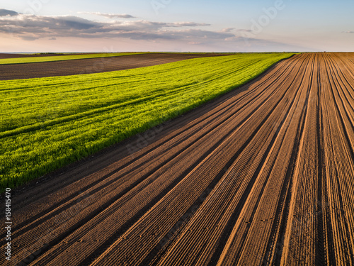 Agricultural landscape, arable crop field. Arable land is the land under temporary agricultural crops capable of being ploughed and used to grow crops. photo