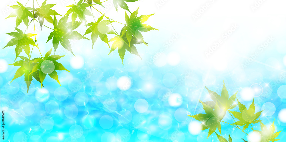 海 夏 風景 背景 海 夏 風景 背景