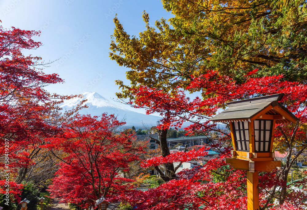 Red maple tree and mount Fuji in Japan