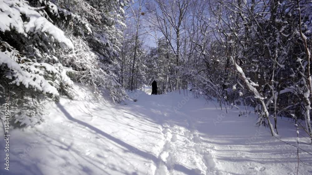 mother and kid walking forest tree winter snow in ontario canada mother and kid walking forest tree winter snow in ontario canada