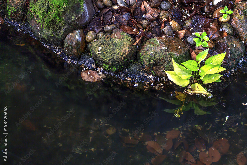closeup rocks and water with soft-focus in the background. over light closeup rocks and water with soft-focus in the background. over light