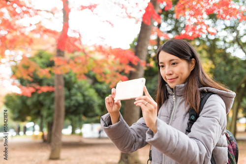 Woman taking photo with maple tree