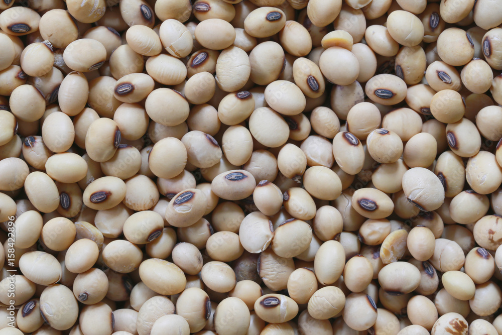 soybean pile of Tropical vegetables.