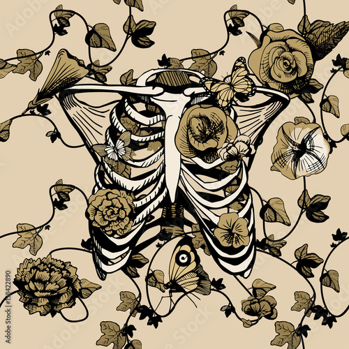 Ribcage illustration