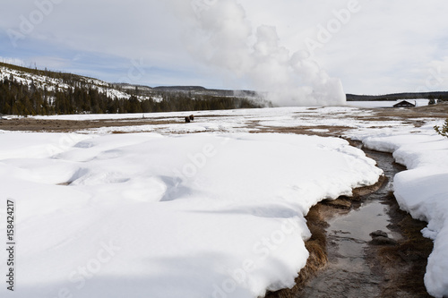 Fototapeta Naklejka Na Ścianę i Meble -  Old Faithful Geyser, Yellowstone NP