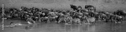 River crossing panorama