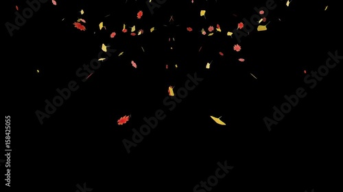 紅葉 秋 葉 散る 舞う