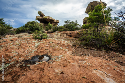 Reflecting pools are scarce in this rugged terrain in Chiricahua National Monument of southeastern Arizona.