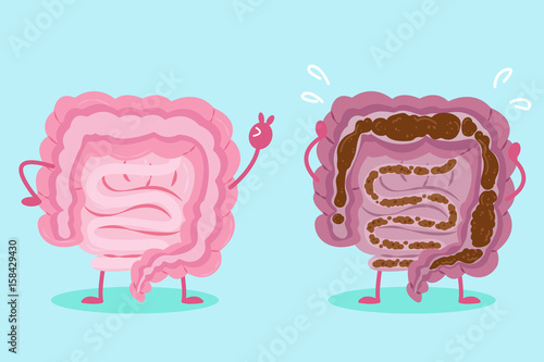 intestine with health concept
