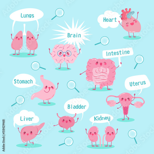 cute cartoon organ