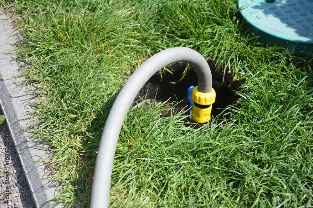 Water hose. Closeup on a sprinkler attached to a hose watering the