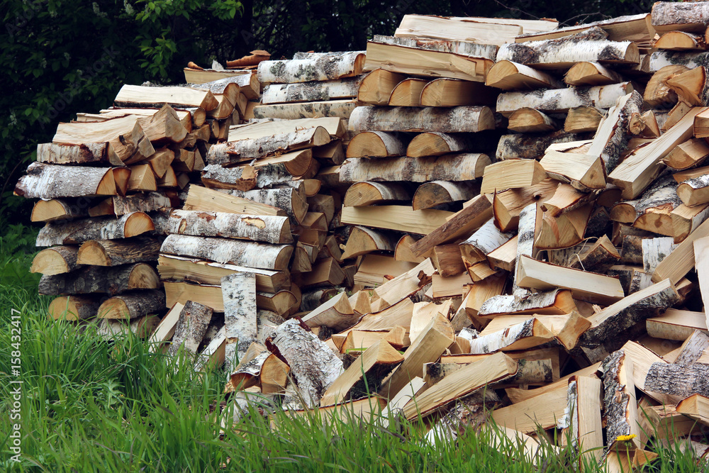 bunch of birch logs on the grass, chopped by an axe. bunch of birch logs on the grass, chopped by an axe.