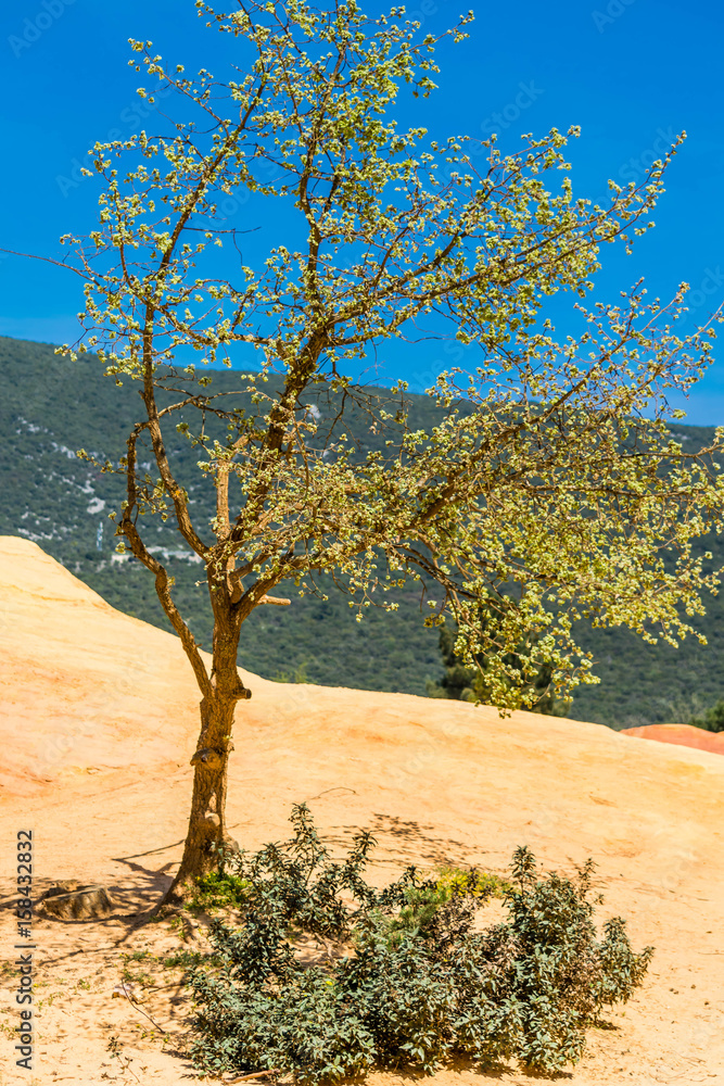 Rustrel, Colorado Français.