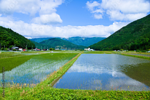 日本の田園風景