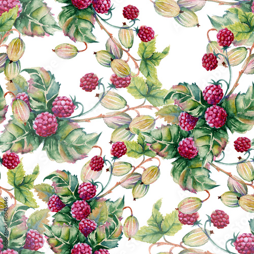 Fototapeta Naklejka Na Ścianę i Meble -  Background of berries of raspberriWatercolor illustration