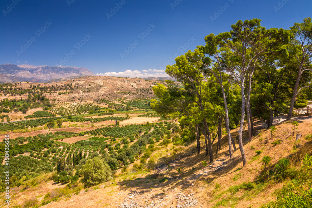 Landscape view of the upcountry of the island of Crete with olive trees and mountains in the background, Greece