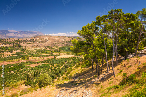 Landscape view of the upcountry of the island of Crete with olive trees and mountains in the background, Greece