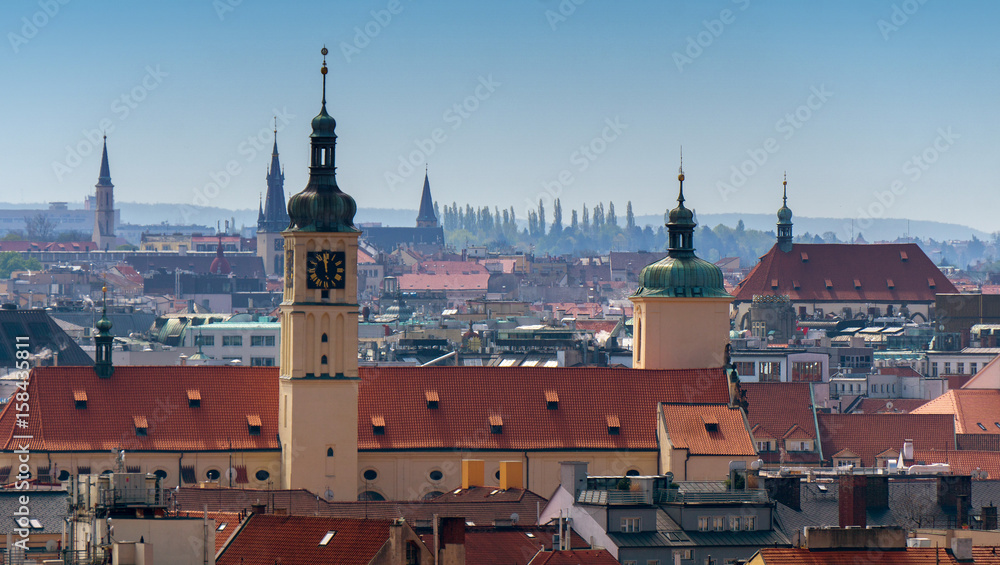 Prague Castle on the background of the city